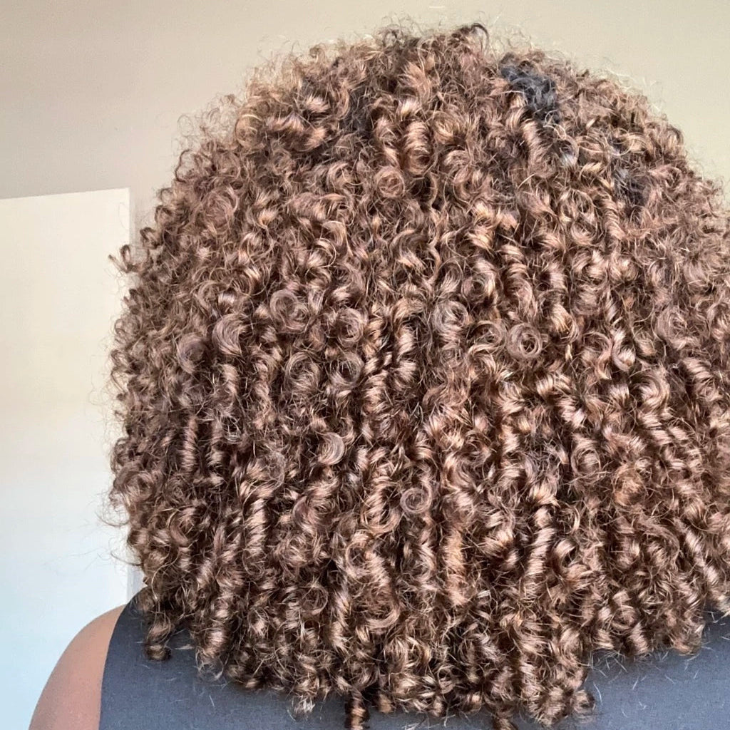 Blonde Brown Highlights Voluminous Short Curly Bob Glueless Wig
